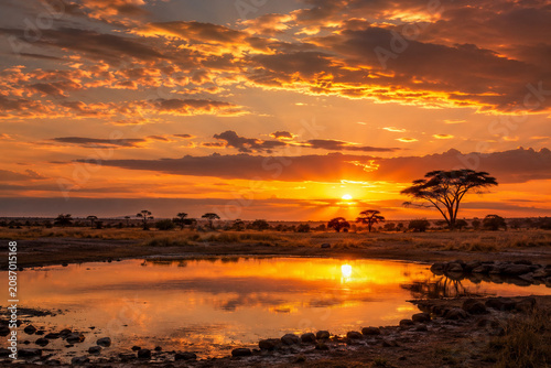 Dramatic golden clouds over reflective savanna watering hole