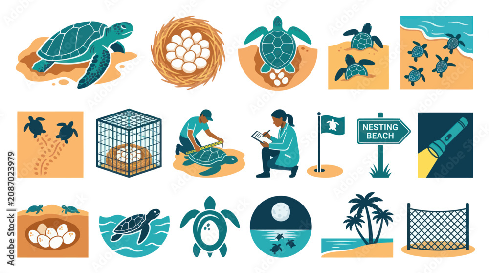 Obraz premium Flat Design Sea Turtle Conservation Icons Set - Marine Wildlife Protection Ecology Vector Illustrations
