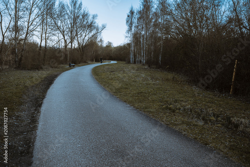 Curved Park Path Through Bare Trees