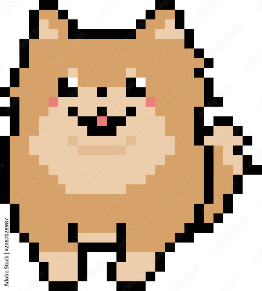 Fototapeta premium Happy Brown Pomeranian Dot