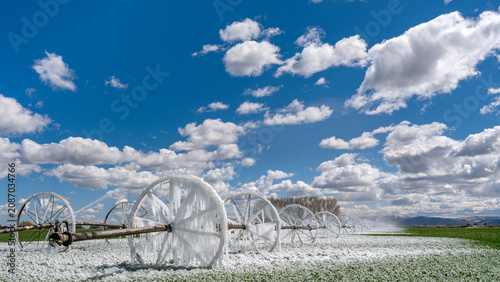 Frozen irrigation sprinklers on an Idaho farm