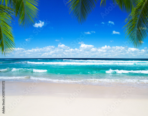 sea landscape.  beautiful beach and tropical sea