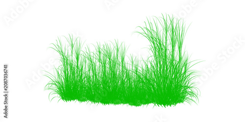 Single lush green grass patch isolated on transparent background for landscape design
