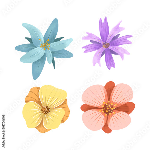 Set of Colorful Spring Flowers Isolated on White Background with Pink Daisy Lily Floral Vector Illustration for Nature Design and Garden Bloom Collection