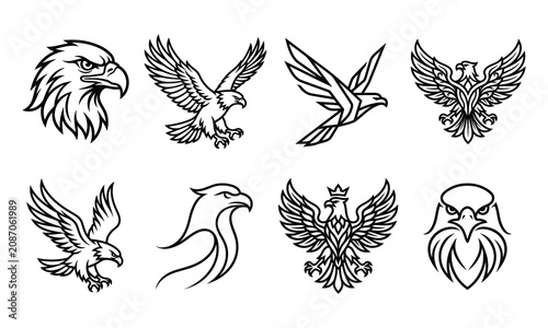 Eagle line art pack vector illustration