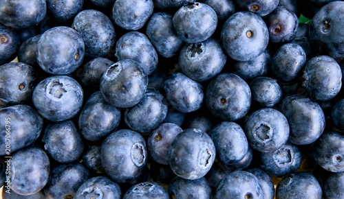Fresh Blueberries Close-Up Texture