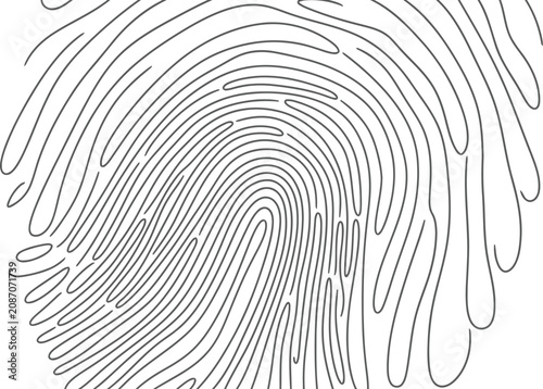 Obraz na płótnie Fingerprint detail