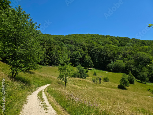 Foto germany, perfect hiking trail crossing lush green meadows and peaceful forest be