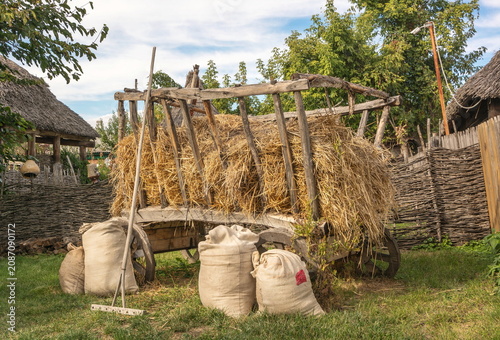 Rural landscape with a hay cart in a village yard