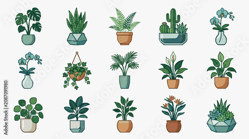 Foto Minimalist Illustrations of 15 Stylish Indoor Plants in Colorful Pots for Home D