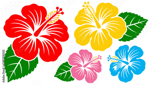 Colorful set of hibiscus flowers with green leaves illustration