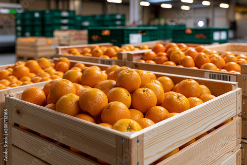 Fresh oranges in wooden crates at a market