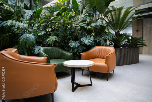 Modern office lounge area with green plants and leather chairs in corporate setting. Biophilic design and sustainable workplace decor