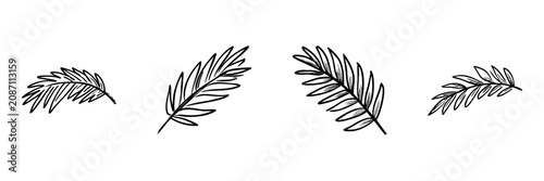 Palm Leaf In Hand Drawn Style Set. Nature And Decoration Doodle Sketch Collection. Botanical And Tropical Theme. Isolated Vector Illustration