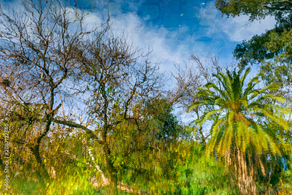Fototapeta premium Autumn in Palermo Park, Buenos Aires, Argentina