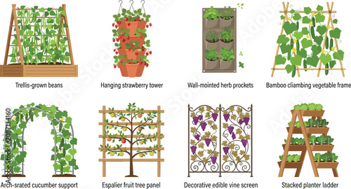 Vector Illustration Set of Vertical Gardening Structures Plant Supports and Small Space Farming Systems
