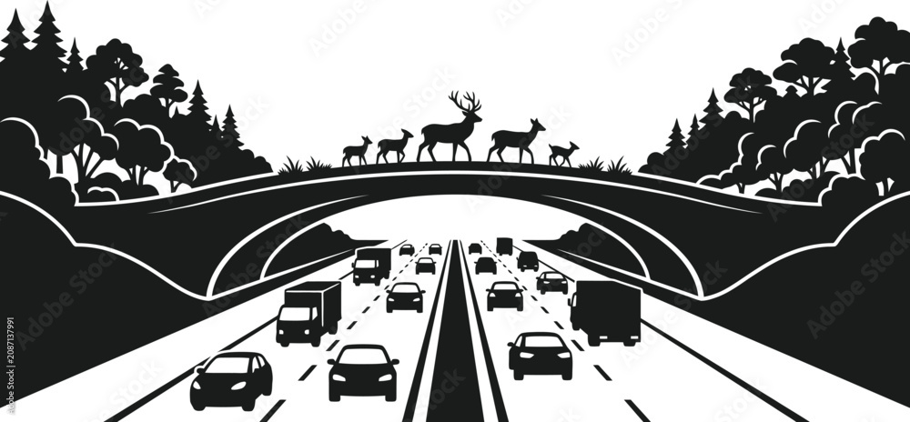 Obraz premium Silhouette of wildlife crossing bridge over highway with cars on road isolated on white background in vector illustration