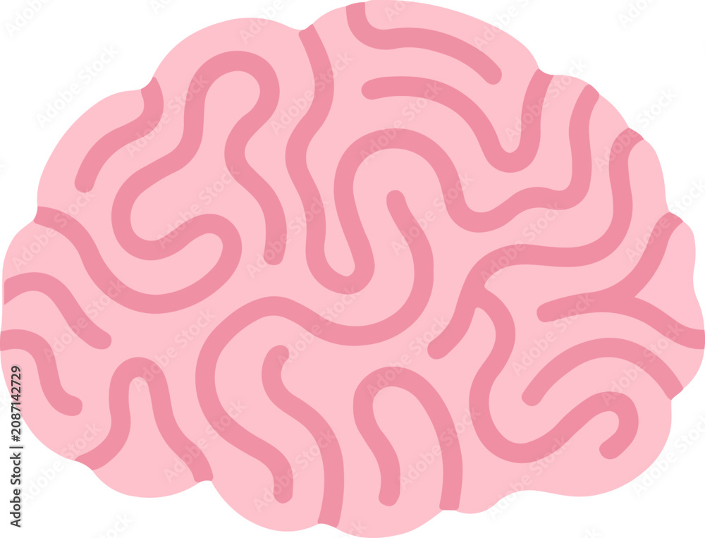 Obraz premium Human Brain Illustration.