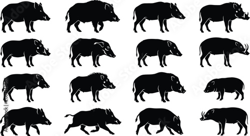Fotografie Diverse wild boar pig animal silhouettes collection on transparent background for design