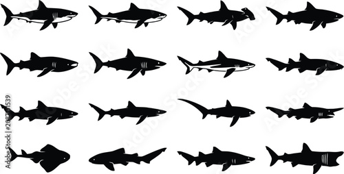 Obraz na plátně Set of black silhouettes of different shark species isolated for marine themed graphic design work