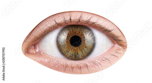 Cuadro en lienzo Extreme close-up of a human eye with detailed iris and eyelashes