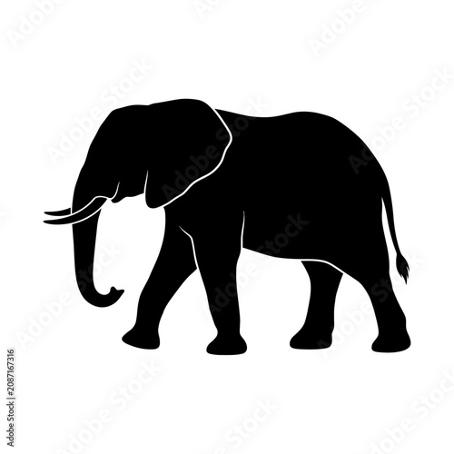 Cuadro en lienzo Black elephant icon, elephant silhouette, animal symbol, wildlife graphic isolat