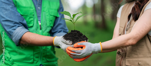 Tableau sur toile Two volunteers wearing gardening gloves holding young seedling with soil togethe