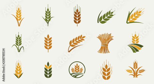 Rustic collection of wheat and grain icons, featuring golden ears, green sprouts, and bundles, symbolizing agriculture and harvest on an isolated light background.