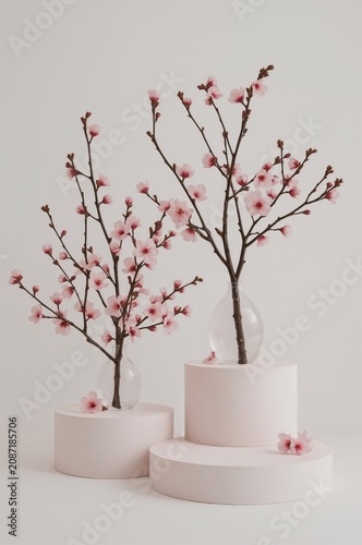Cherry Blossom Trees on White Pedestals in a Bright Room With Minimal Decor a...