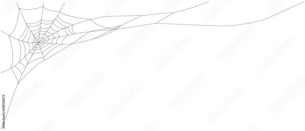 Photos Spider web