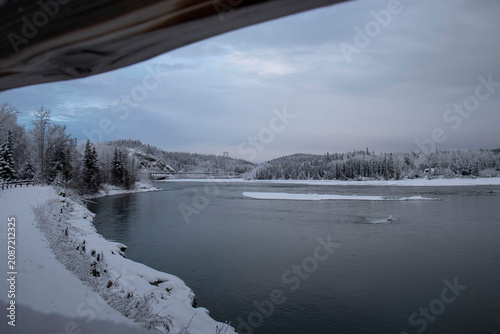 Snowy trees by the Tanana River in Alaska