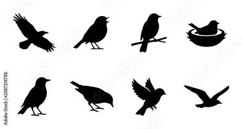 Foto Bird Silhouettes Collection: Flying, Perching, Nesting Avian Icons