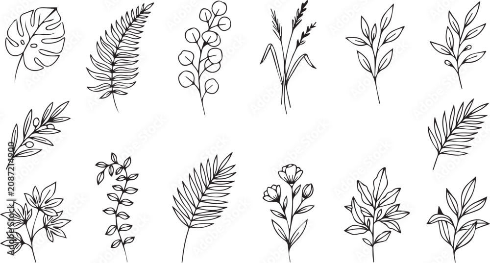 Fototapeta premium Minimalist hand drawn leaf twigs and wildflowers elegant floral elements isolated on white