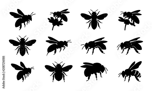 Принти на полотні Bee Silhouettes Collection: Insect Icons, Flying Creatures, Nature Elements, Vec