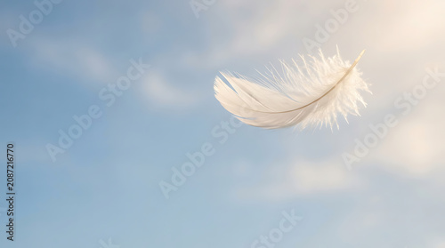 Quadro su tela Soft white feather floating against a clear blue sky with floating delicate back