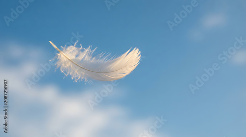 Bild auf Leinwand Single soft white bird feather floating and drifting gently against a clear blue