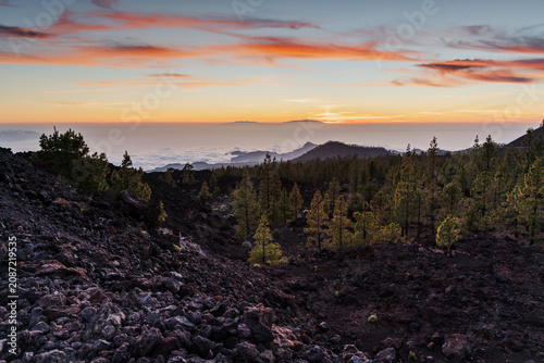 Tenerife's volcanic landscape at sunset with pine trees and clouds below