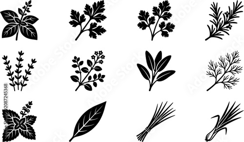 Canvastavla Set of hand drawn culinary herb and spice icons.