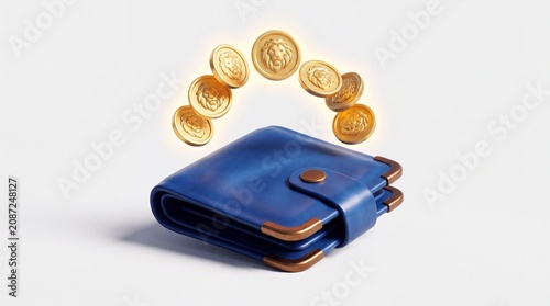wallet with money