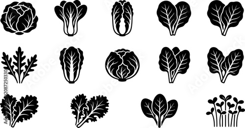 Canvastavla Set of various fresh leafy green vegetables and salad icons.