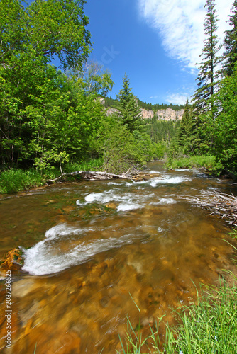 Spearfish Creek Landscape in South Dakota