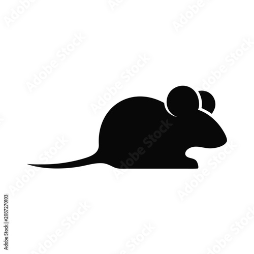 mouse on a white