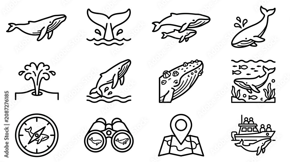Fototapeta premium Whale Watching Icons: Ocean Wildlife, Boat Tour, Navigation