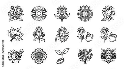 Sunflower Icon Set: Hand-Drawn Vector Illustrations for Design