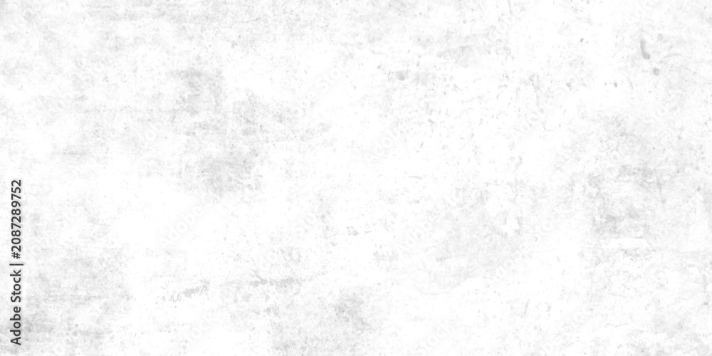 Fototapeta premium Abstract dust particle and dust grain on white background. Black and White Texture. Abstract monochrome grunge for text design, web, blank. 