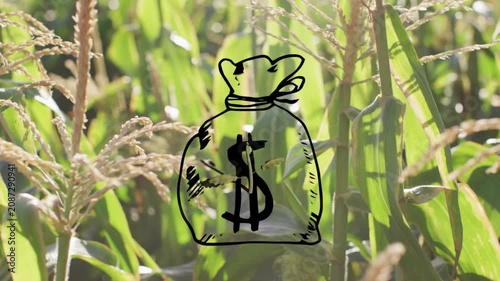Sketch stroke appearing over central stalk, drawing money-bag morphing into sprout showing growth