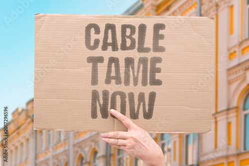 Fotografía "Cable tame now" Get your wires under control