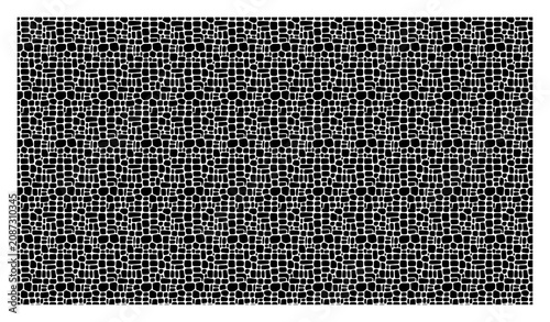 Organic stone pattern representing cracked earth or cellular texture in a natural style
