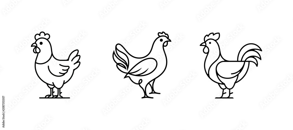 Obraz premium Three outline drawings of chicken on white background vector art.