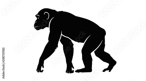 Canvas Print Black silhouette of a standing chimpanzee